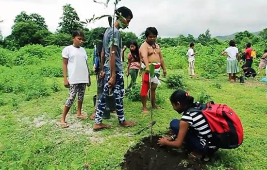 Domulot family farming