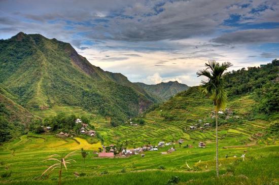 Banaue Rice Terraces