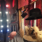 Designer hats by Mich Dulce