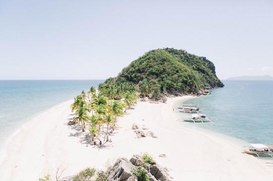 Cabugao Gamay