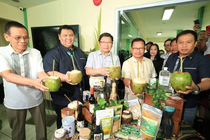 philippines young coconuts export
