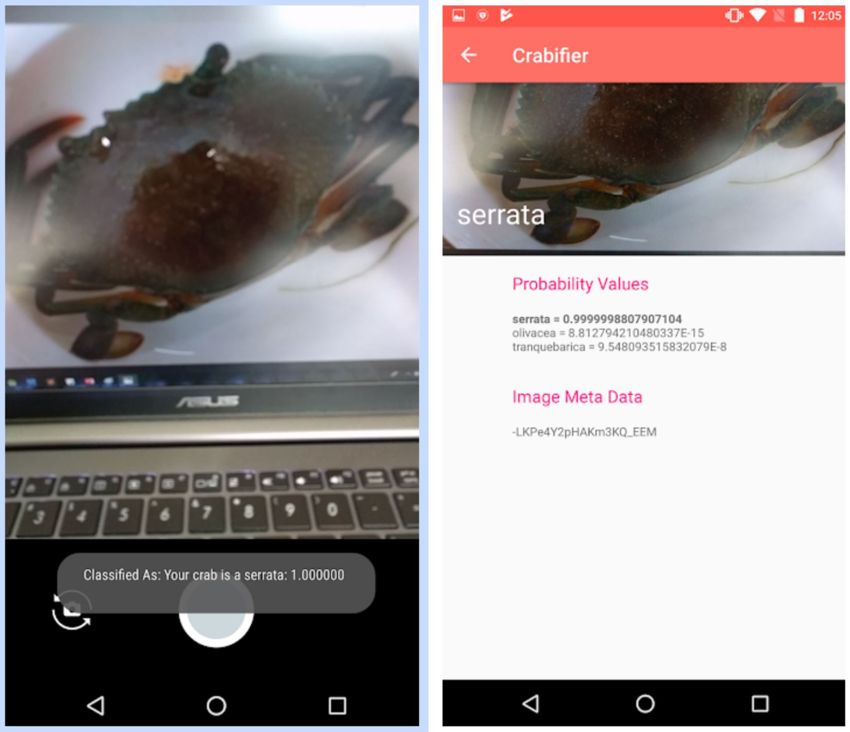 De La Salle crab app
