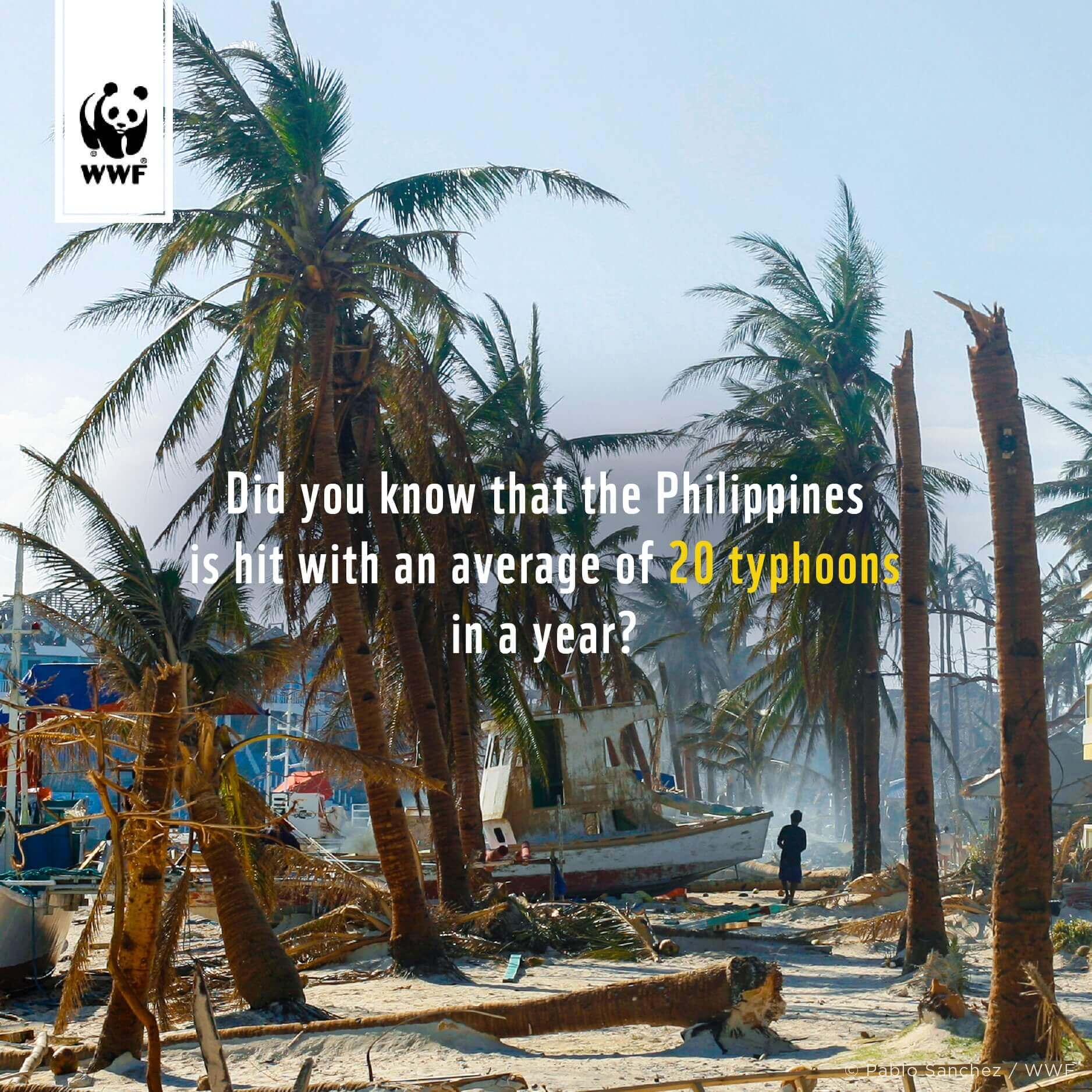 16 cities climate change