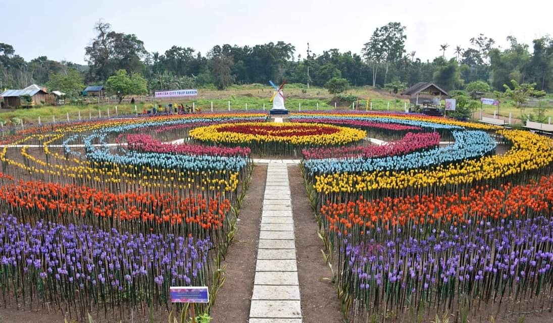 Tulip garden plastic waste