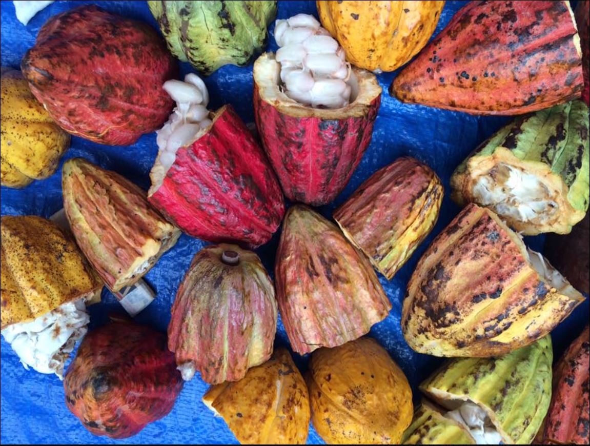National Geographic Boho food
