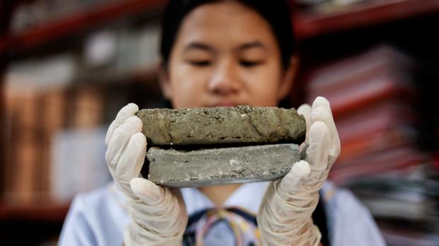 Cecilia Munoz Palma Bio-Bricks