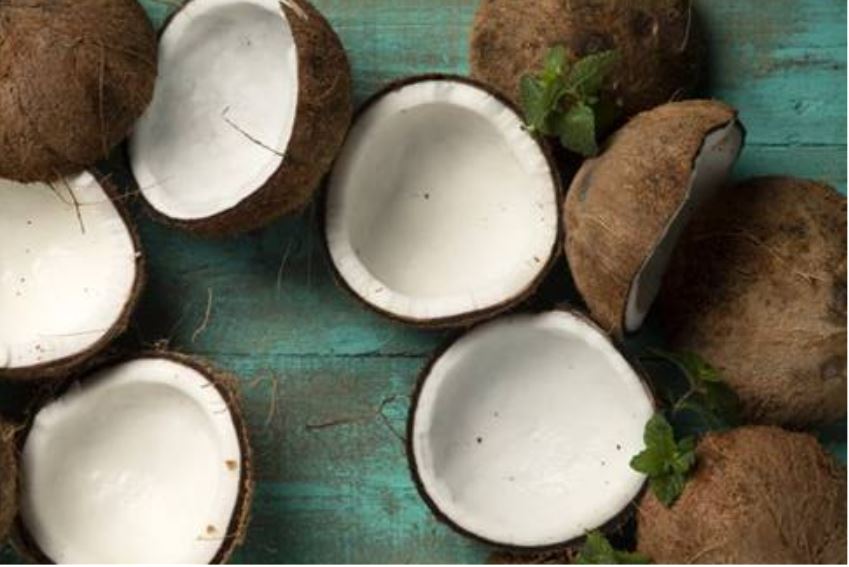 Halal coconuts lead FoodPhilippines