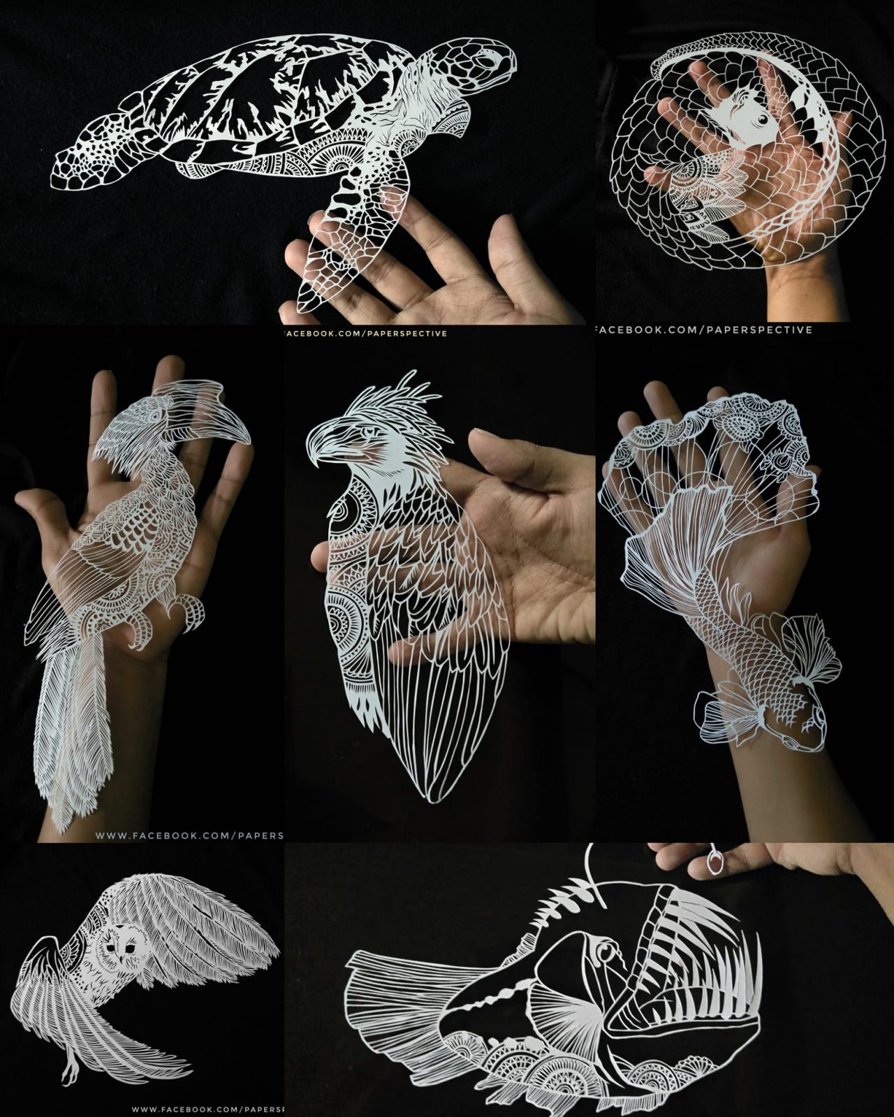 Paperspective