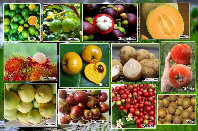 New Year's Eve Fruits