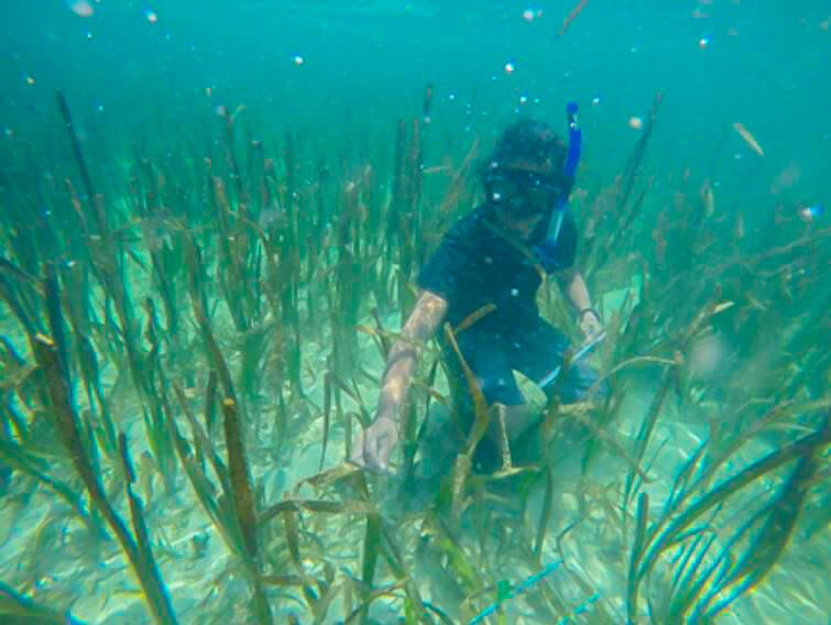 Busuanga Palawan coastal communities