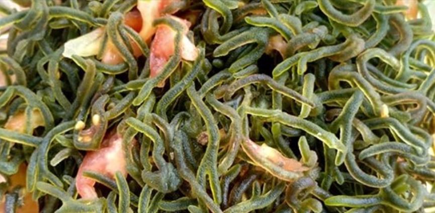 Seaweed Anti-Cancer