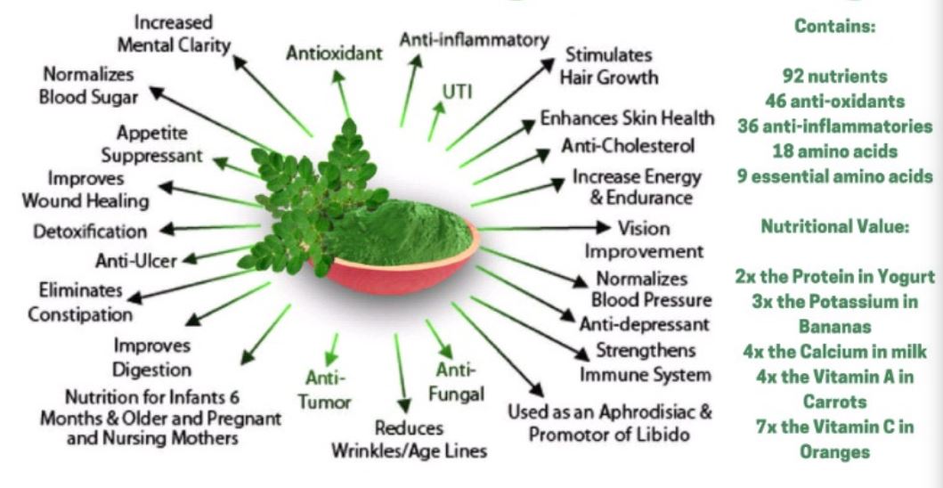 Benefits moringa Moringa Leaves