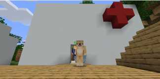 Minecraft Hospital