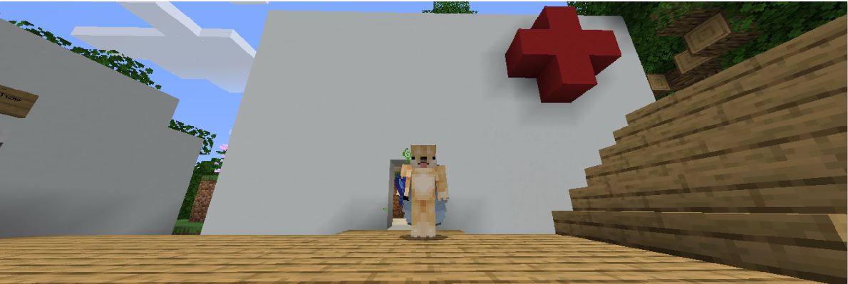 Minecraft COVID-19