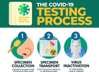 COVID-19 Testing Process
