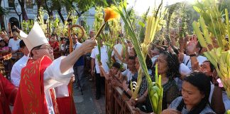 Palm Sunday Cardinal Tagle