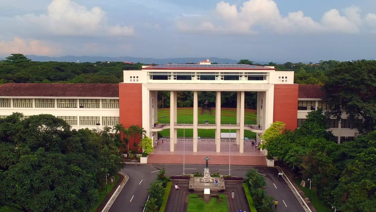 UP Diliman COVID 19 