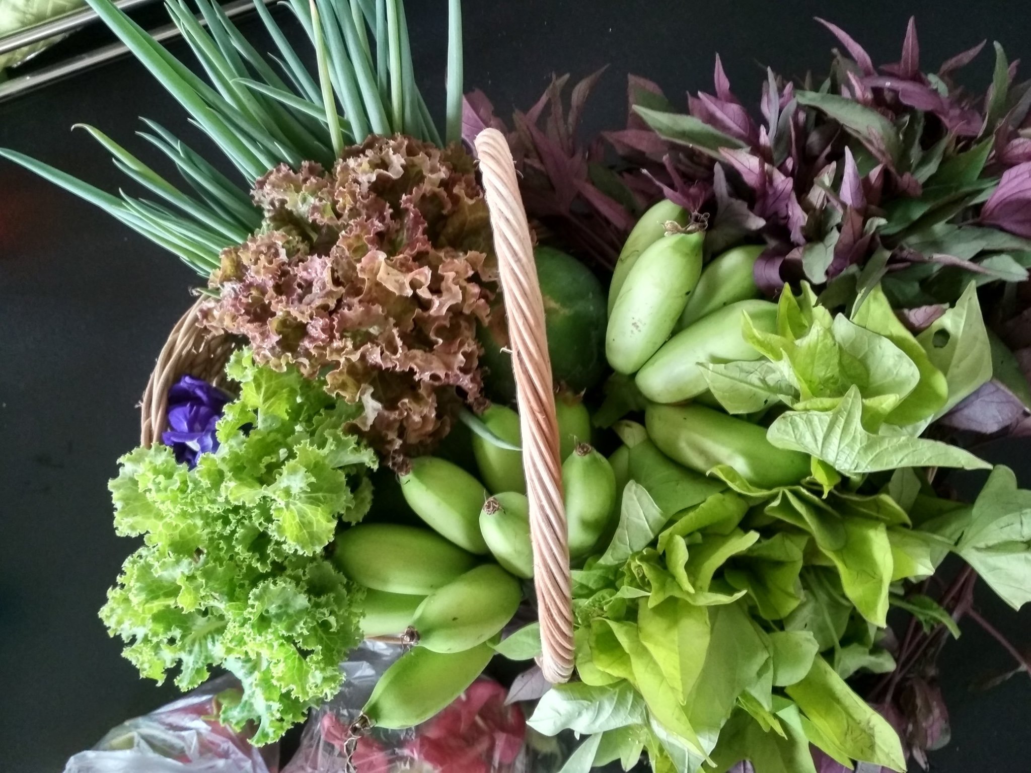 UP landscaping healthy food