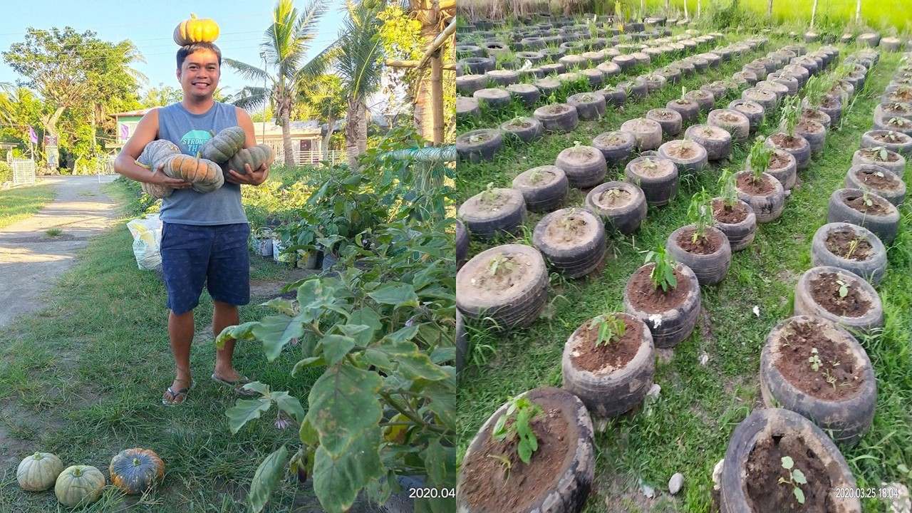 Camarines Sur church vegetable garden