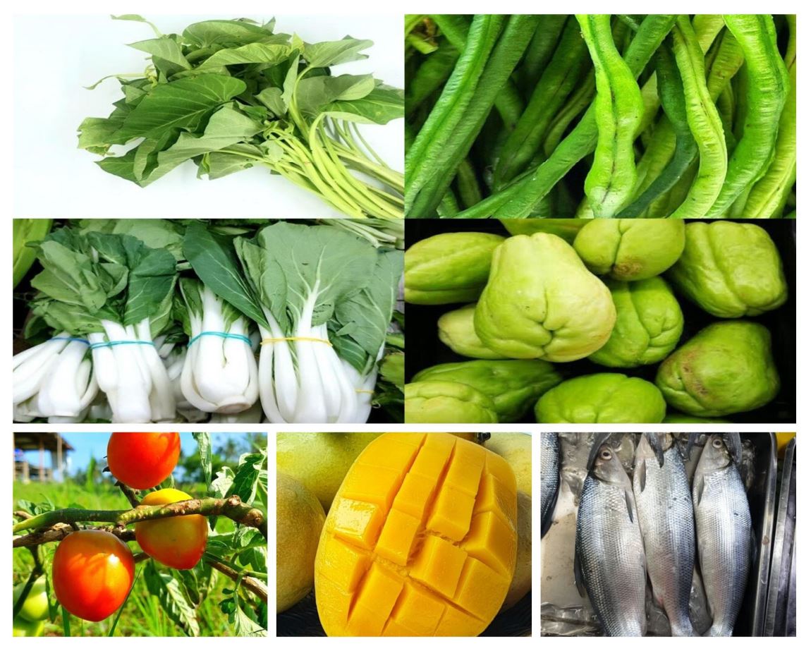 Homegrown Organics farmers