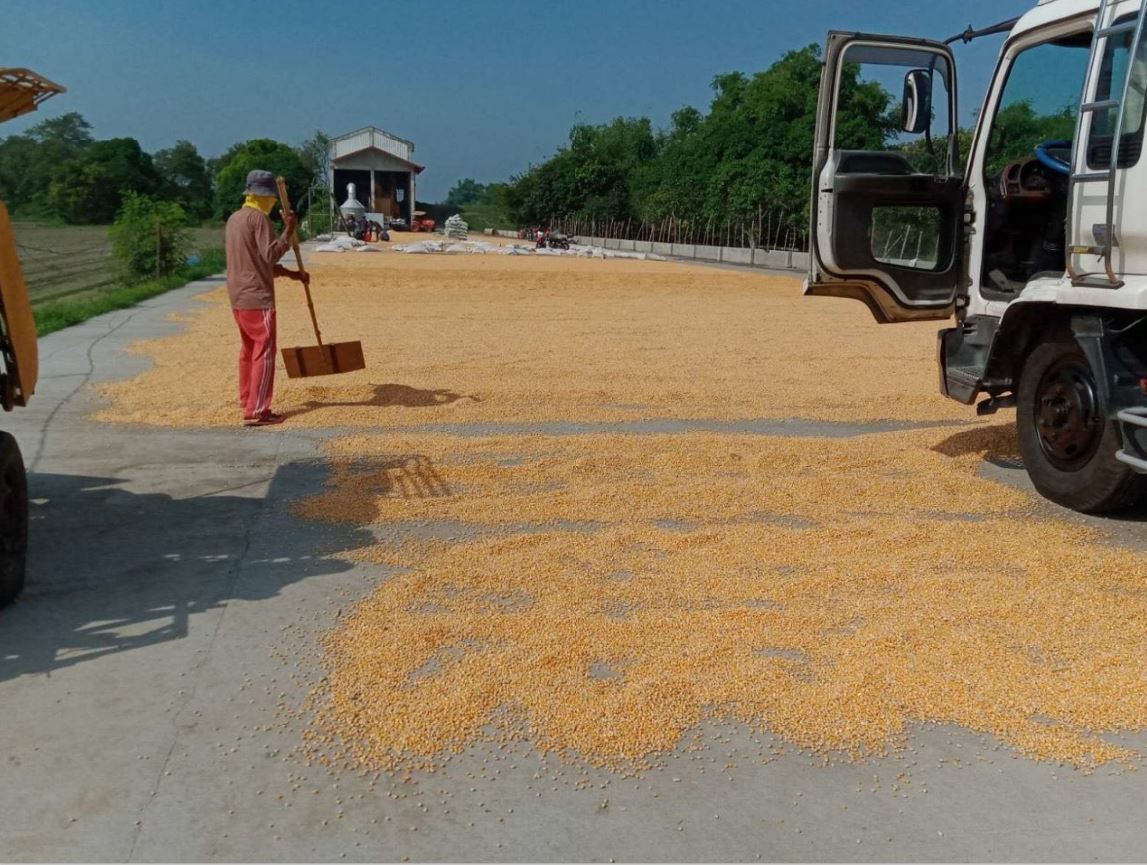 SMC buys Filipino farmers corn