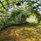 Trellis