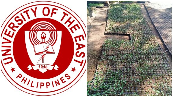 UE-Caloocan urban farming