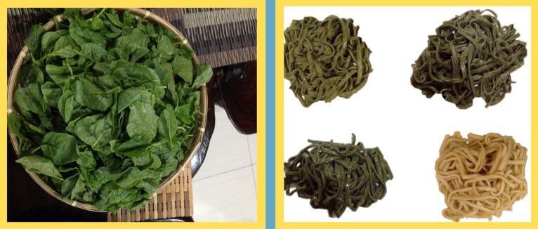 UP Mindanao Vitamin A-enriched alugbati