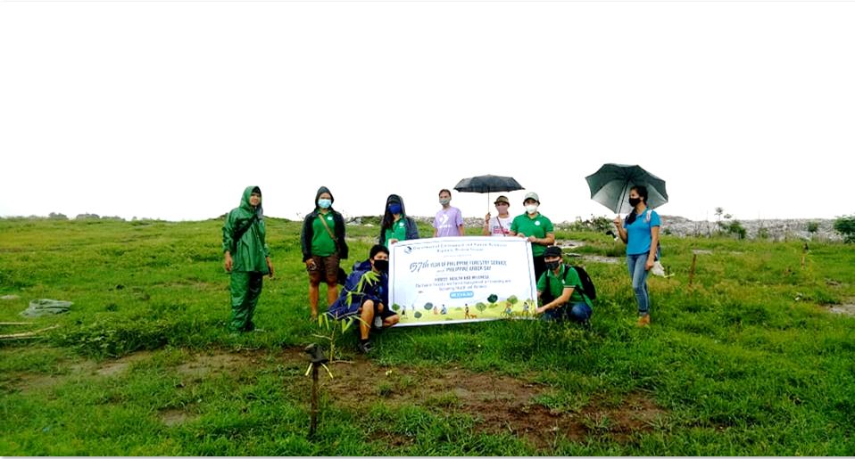 Iloilo Bamboo Planting