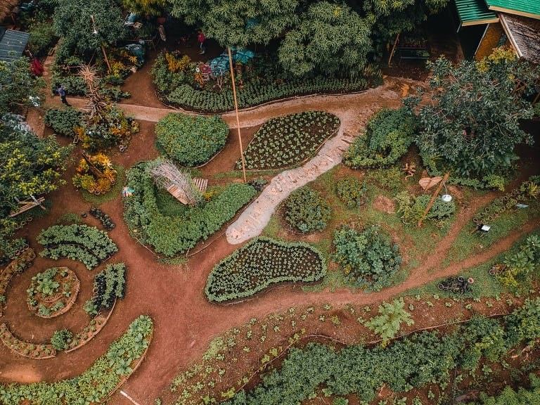 Yamang Bukid Farm