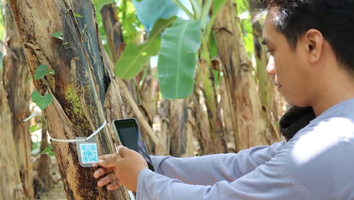 USEP Mobile Banana Disease Surveillance System