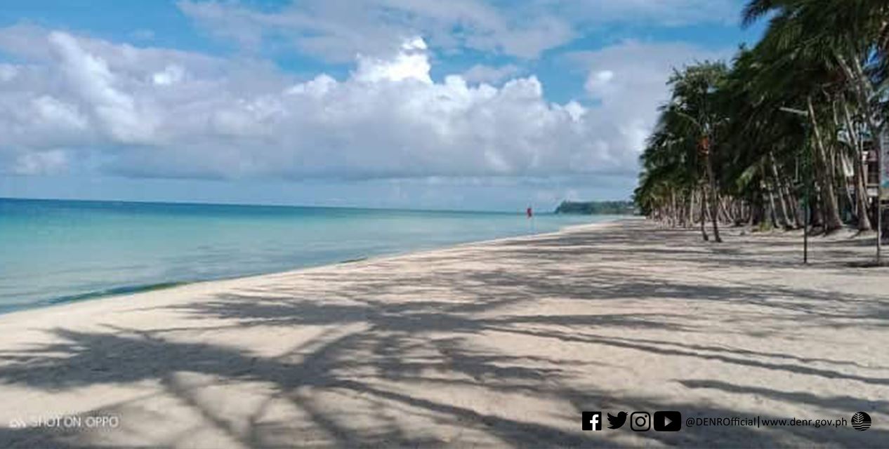 Boracay new seagrass species Boracay new seagrass species