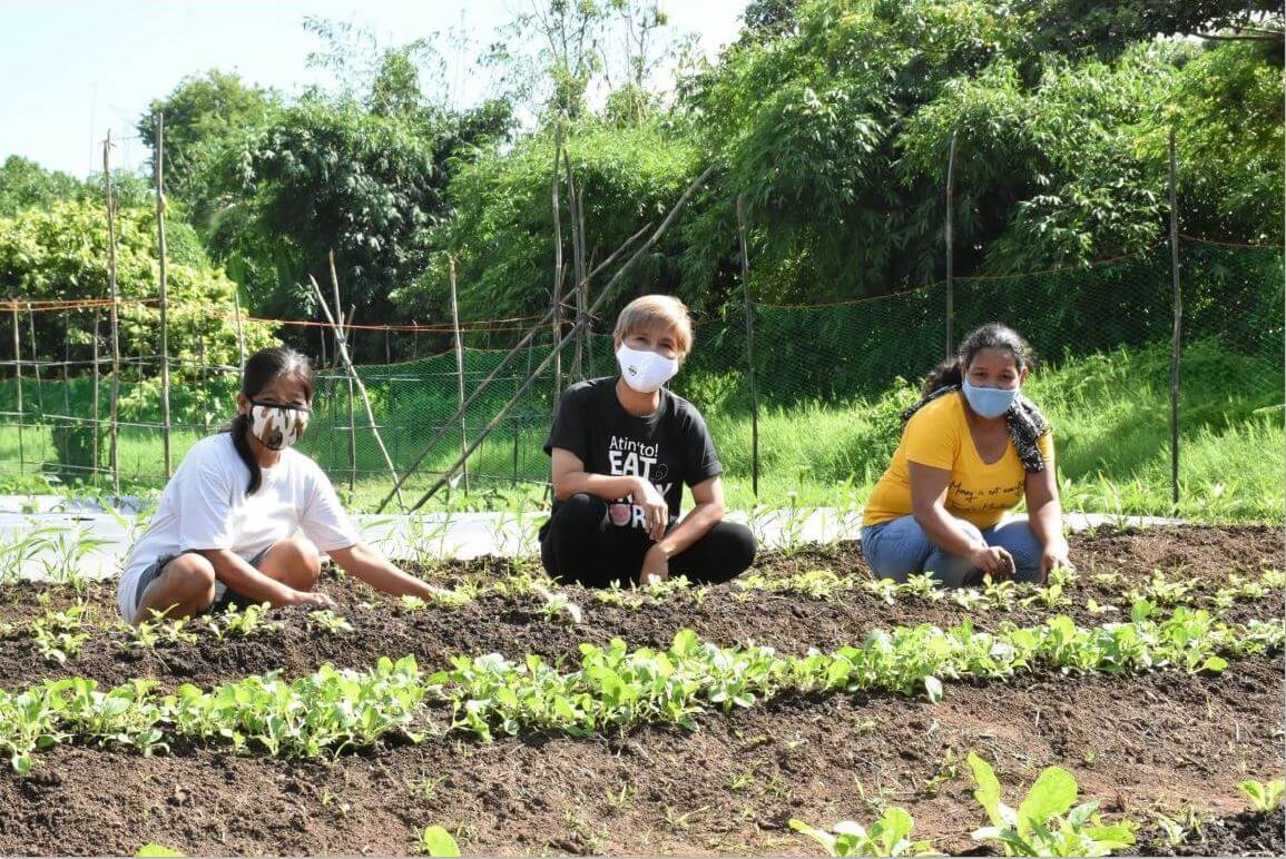 Lipa women sustainable vegetable livestock