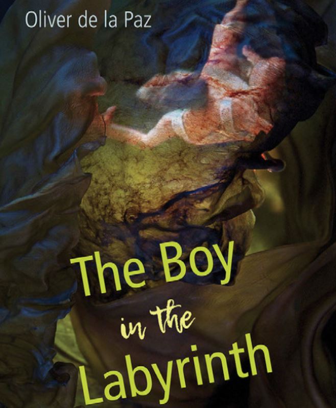 The Boy in the Labyrinth