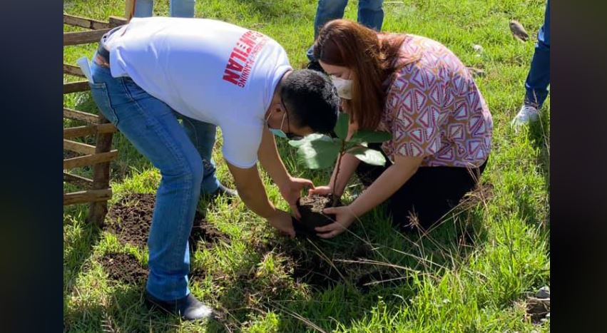 Surigao del Sur 1.3 million trees