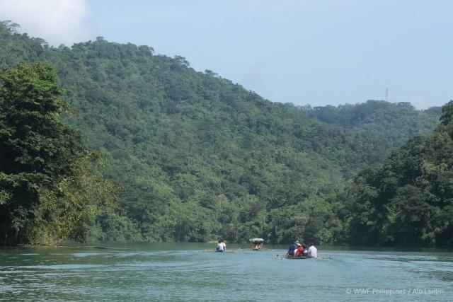 Ipo Watershed reforestation