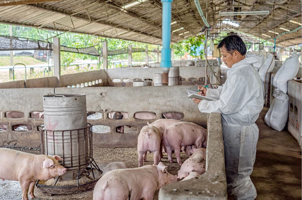 BPI biosecurity program