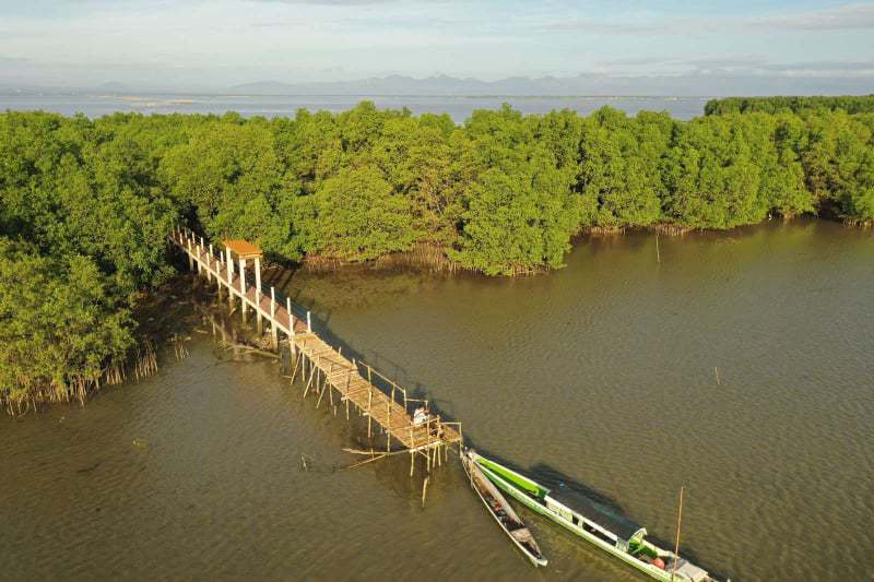 Sasmuan Pampanga Costal Wetland