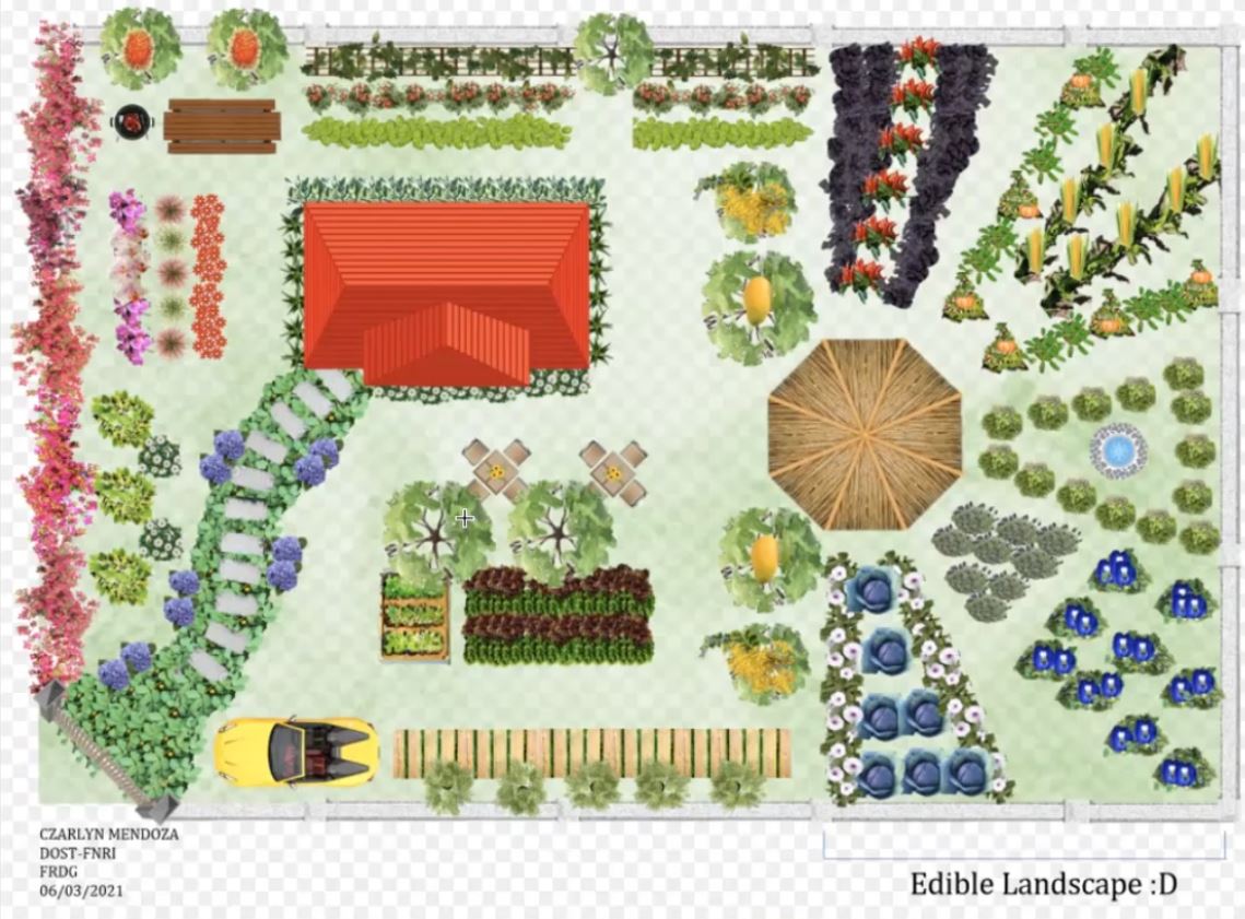 Filipino Edible Landscaping food production