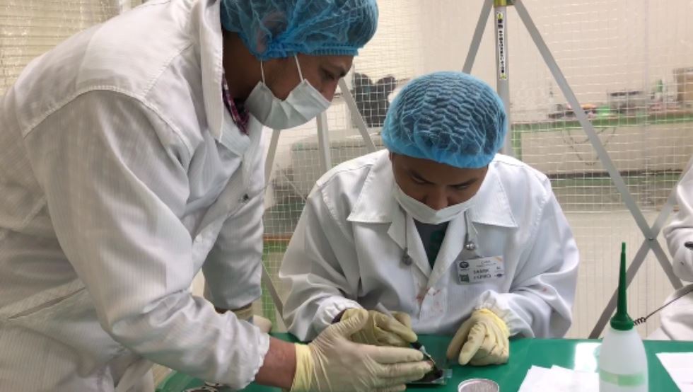 Philippines-made Maya cube satellite