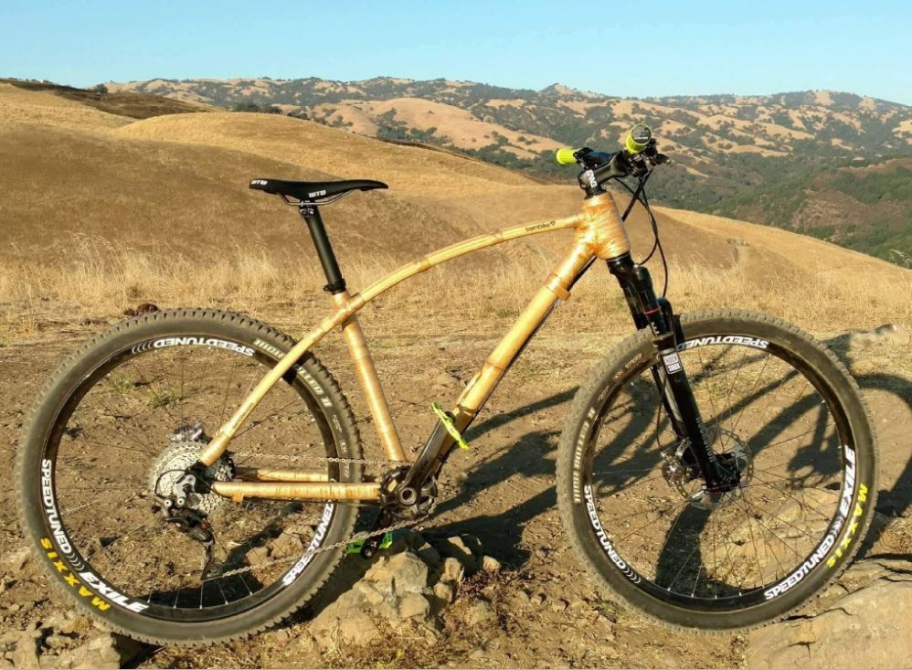 Bambike's Bamboo bicycle brand 