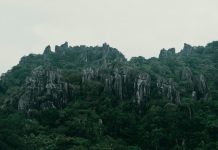 Masungi Georeserve Foundation