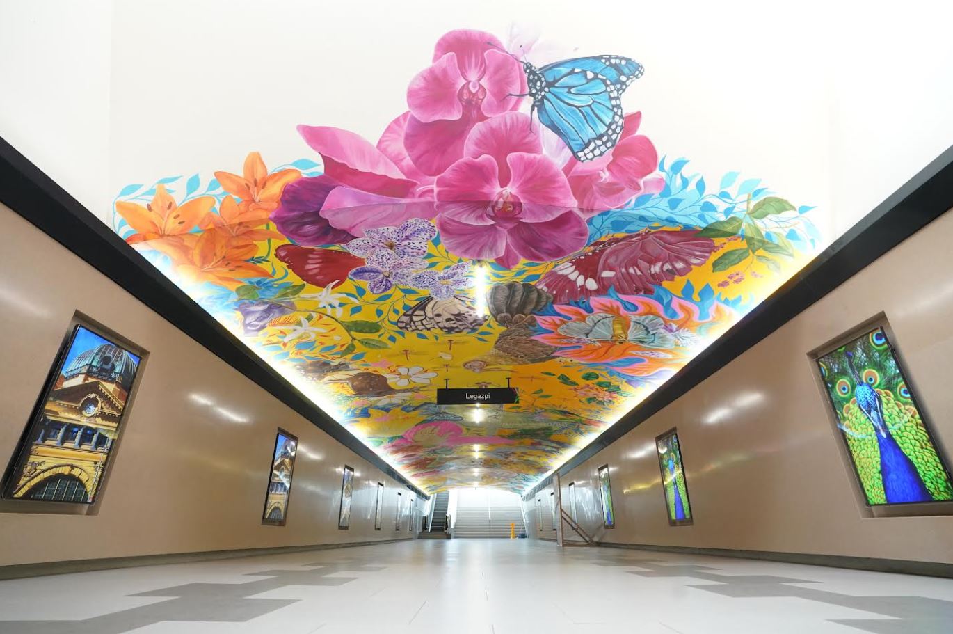 Legazpi Underpass Ayala, Makati Philippine flora Legazpi Underpass Ayala, Makati Philippine flora