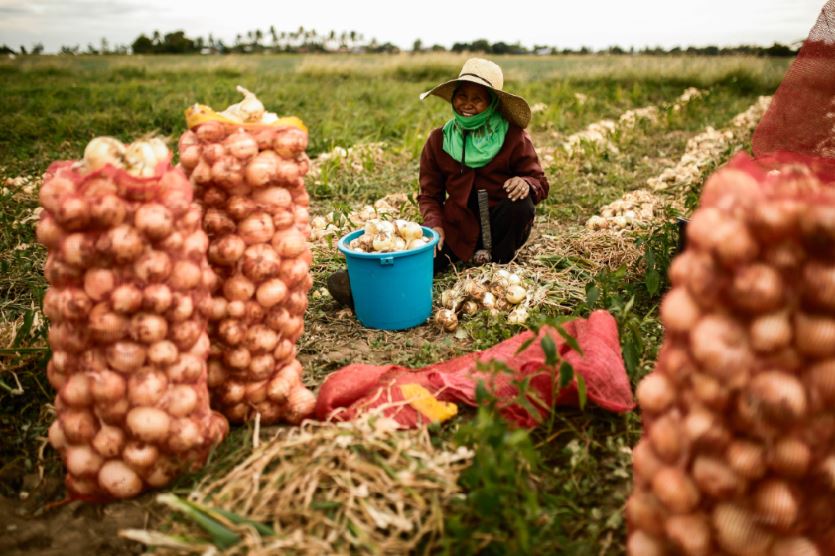 IBM and Jollibee Farmer Entrepreneurs  