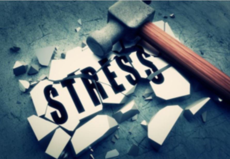 Entrepreneurial Stress Butz Bartolome