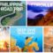 Ph-travel-playlist.jpg