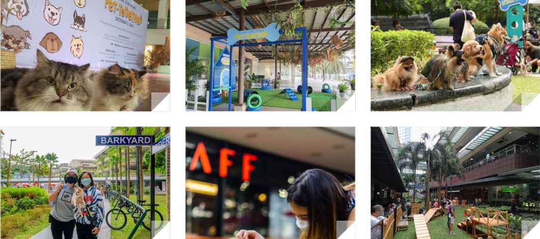 Pet-friendly Pawlicies Ayala Malls