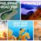 ph-travel-playlist4212757469338283249..jpg