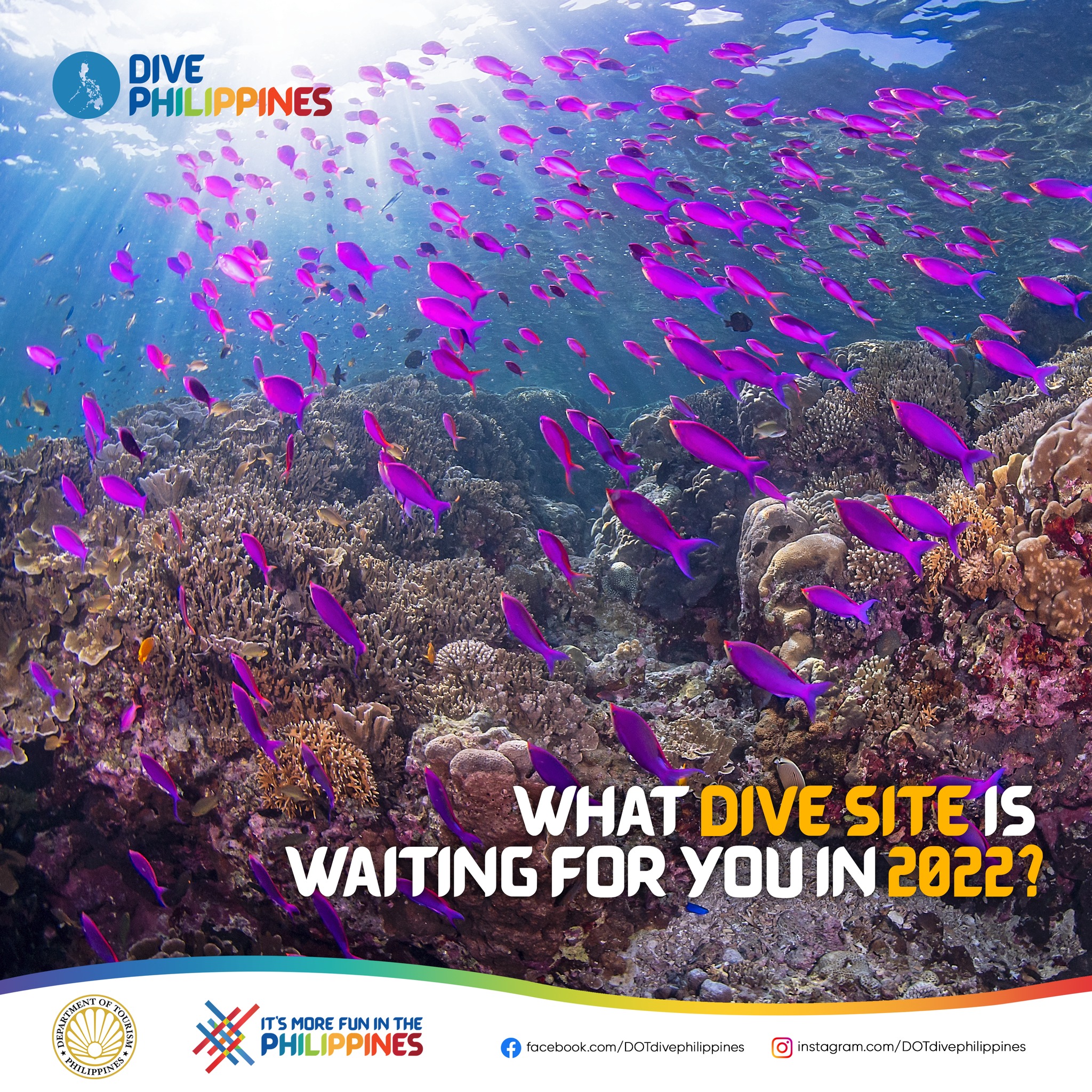 National Geographic Philippines' coral reefs 