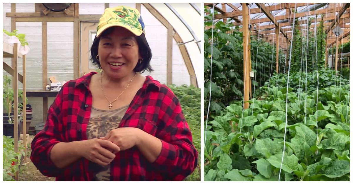 Filipina farmer’s gardening fresh vegetables